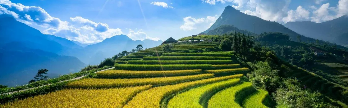 Sapa and Fansipan private 3-day experience with homestay