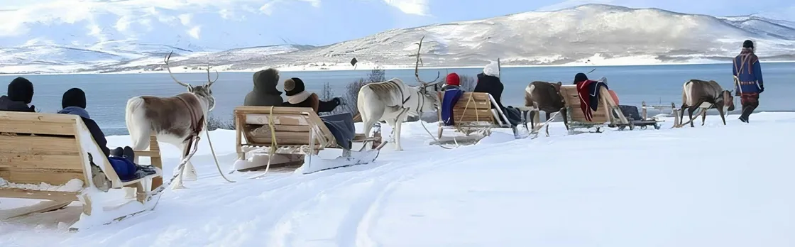 Sami Culture Experience with 10-Minute Reindeer Sledding