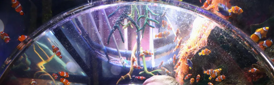 SEA LIFE Manchester entrance tickets