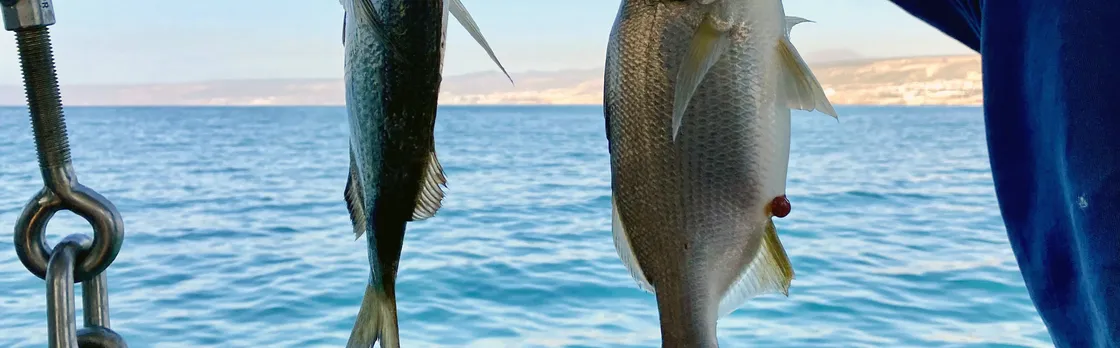 Agadir Fishing Experience