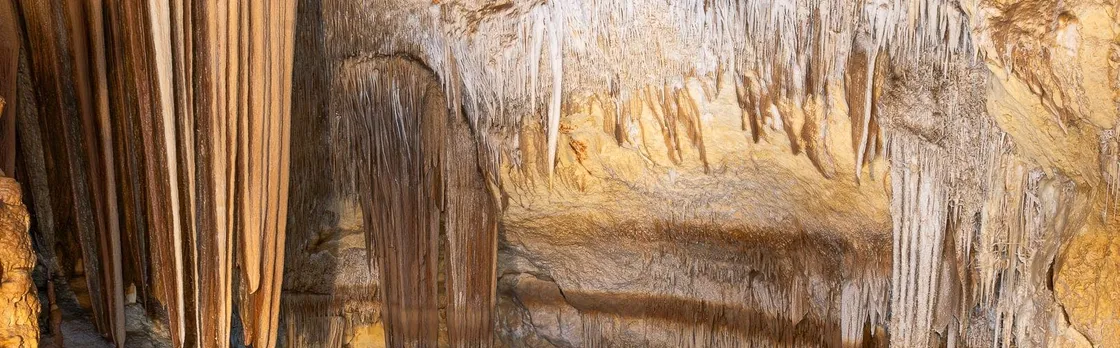 Cova dels Coloms Sea Caves Guided Tour with Eco Island Adventure