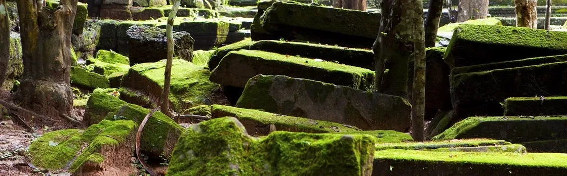 Beng Mealea and Banteay Srei temple private full-day tour