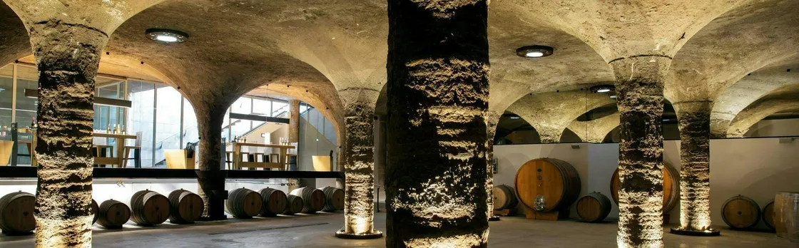 Guided Vineyard Tour and Wine Tasting on Lipari Island