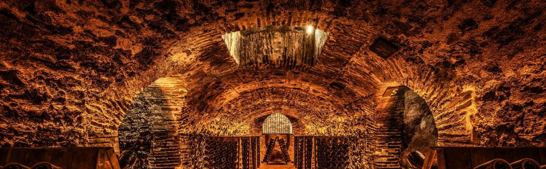 Cellar visit at the Champagne Boizel house and Millésime tasting
