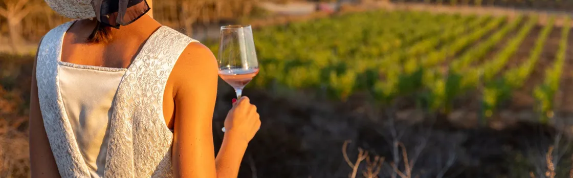 Wine tasting and visit to Ripalte design winery