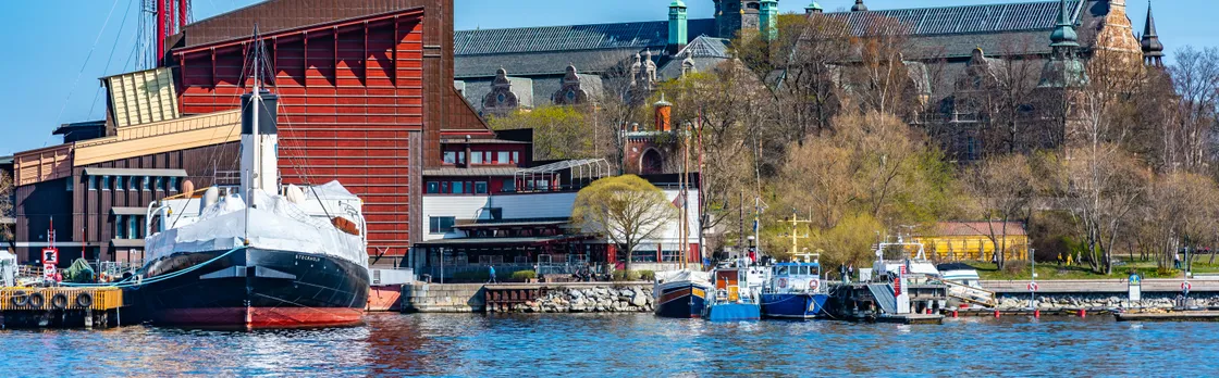 Stockholm city tour with private driver and Vasa Museum