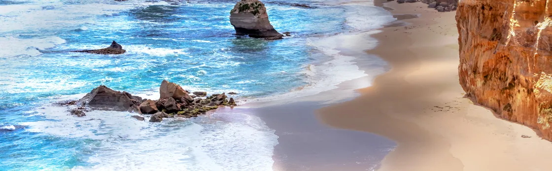 Great Ocean Road bus tour with a forest walk