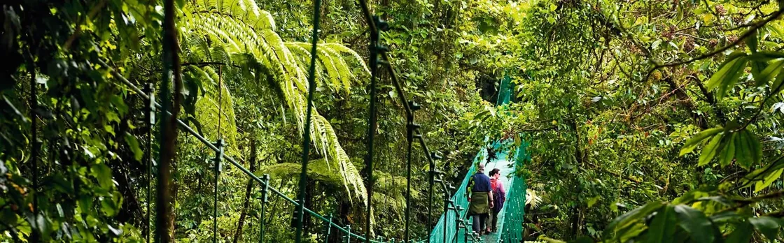 Sky Walk Monteverde Tour