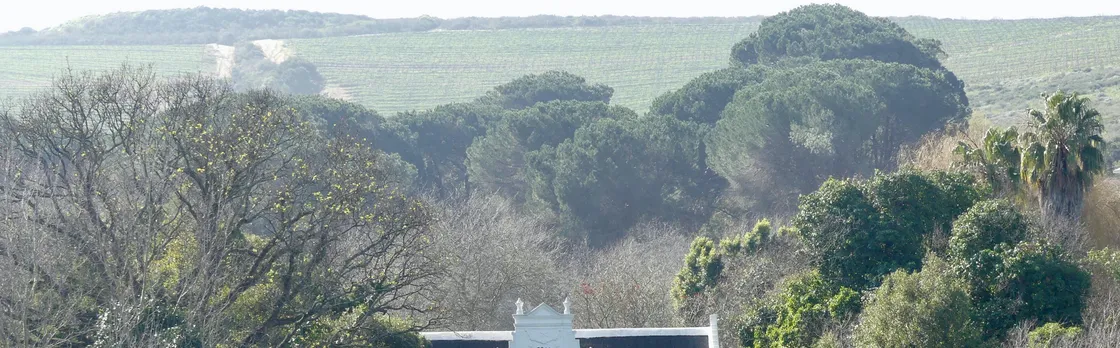 Wineland region visit with wine tasting and Franschhoek Tramway