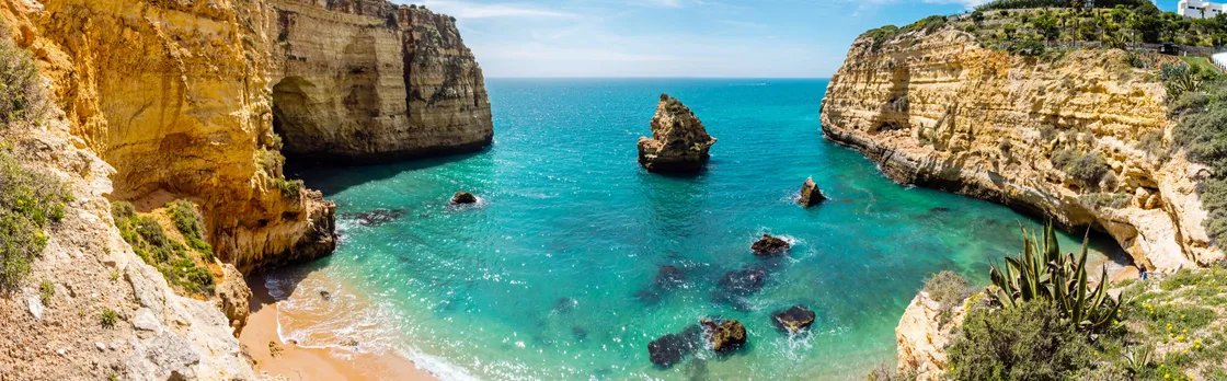 Caves and Dolphin- Watching Aboard the Dreamer