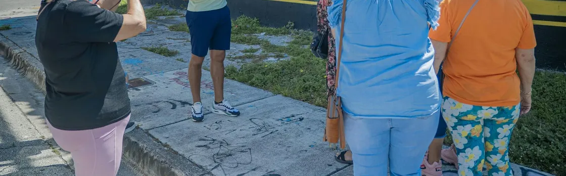 Miami city tour