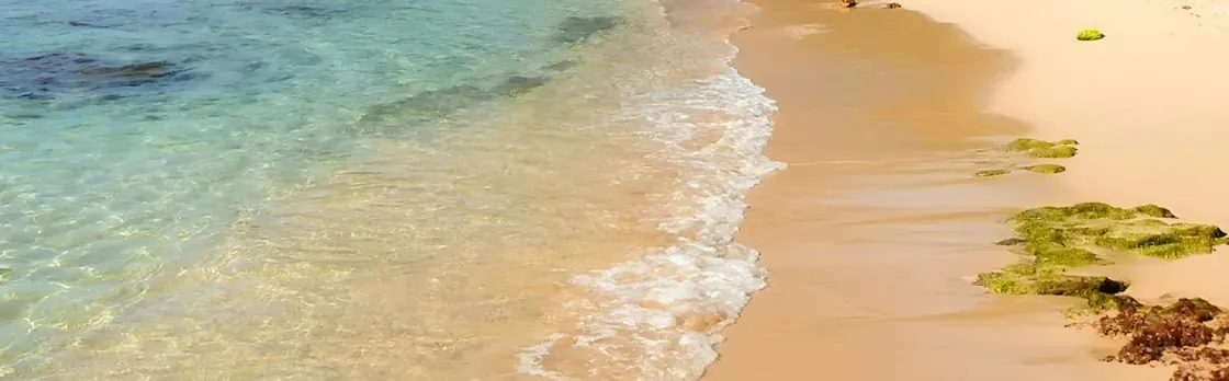 Full-day Bahía Concha and Tayrona Park guided tour with lunch