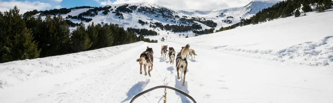 Mushing Experience in Grau Roig