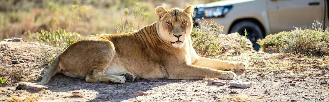 Two-day Chobe safari and Victoria Falls escape
