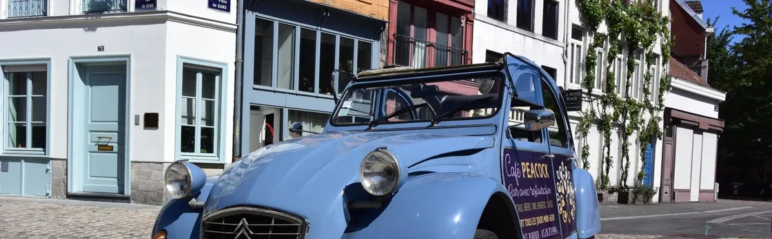 1-hour private tour in Lille by Citroën 2CV