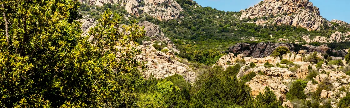 Discover Wonderful Gallura with Lunch