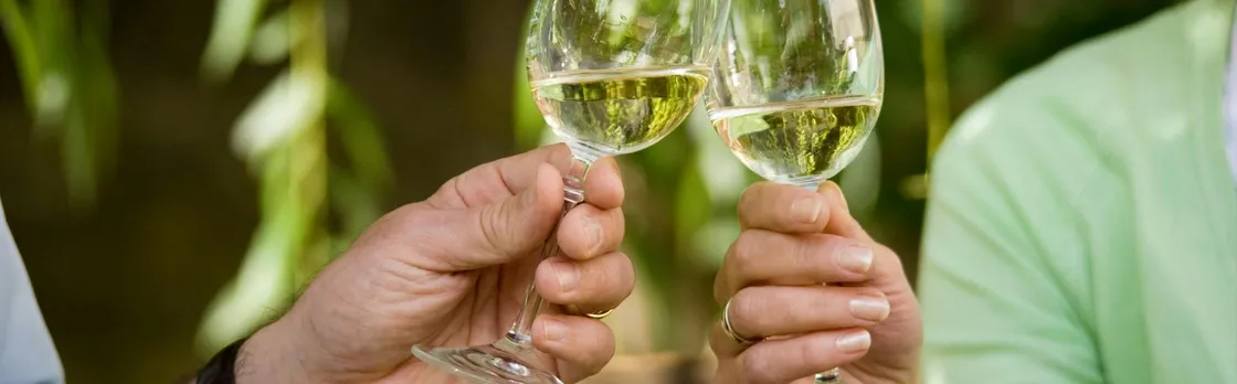 Romantic Road day trip with wine tasting from Würzburg