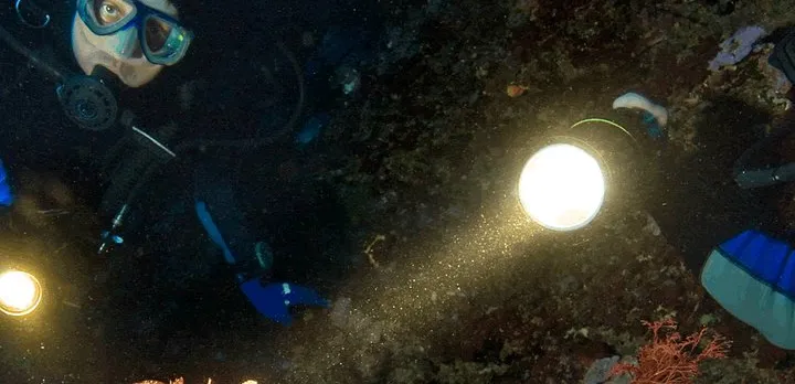 Scuba Diving at Dusk in Unawatuna
