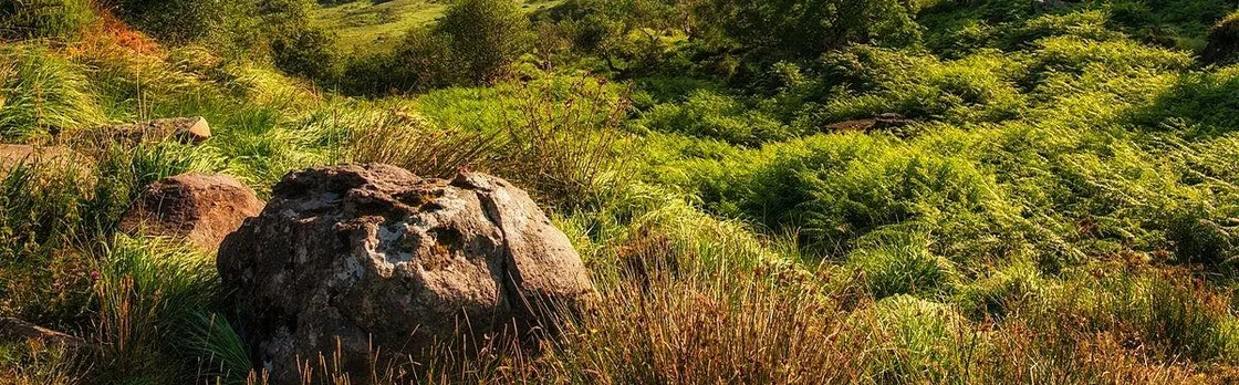 Killarney self-guided cycling tour