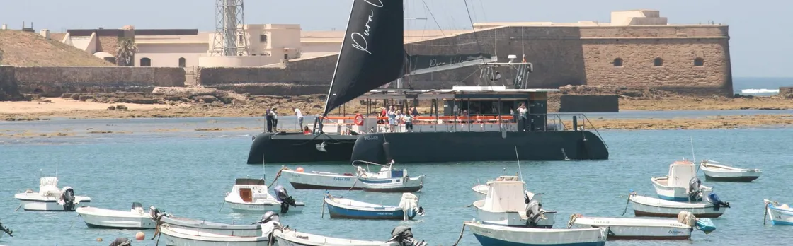 Sunset catamaran experience in Cadiz with one drink