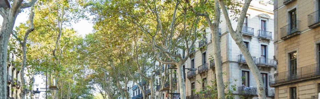 Barcelona On Your Own