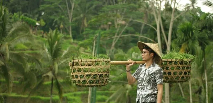Private Tour : Best of Ubud and Tanah Lot Temple with All inclusive