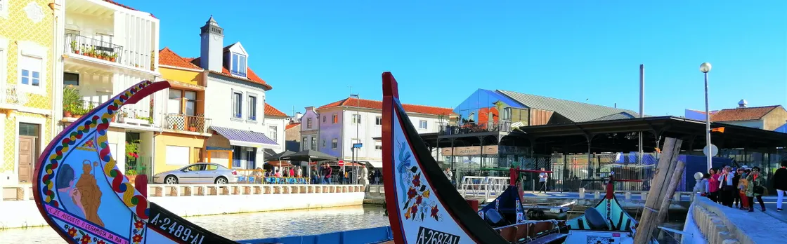 Aveiro and Costa Nova excursion with Moliceiro boat tour