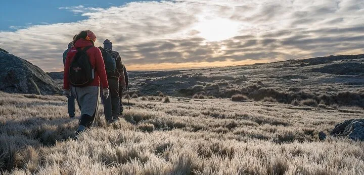5.5-Hour Nat Park w/ Hiking *Shore Excursion* USHUAIA (Shared tour for cruises)