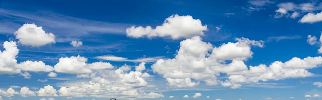 Everglades National Park full-day tour with round-trip transfer