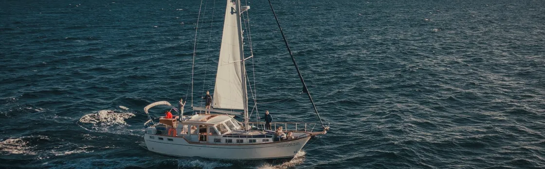 Dolphins and Whales Cruise Trip from Funchal