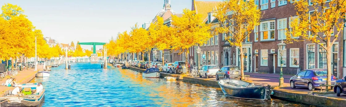 Leiden walking tour with a local
