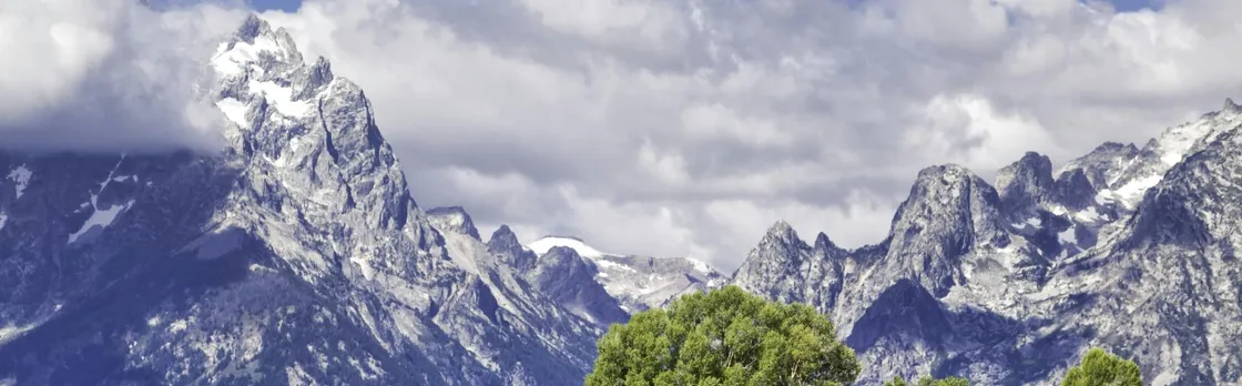Summer and fall wildlife sunset safari from Jackson Hole