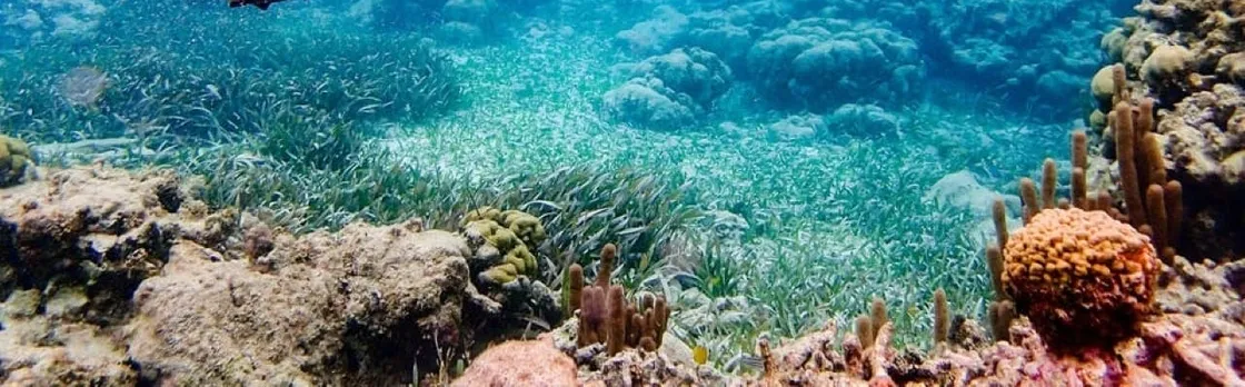 Seawalker in Santa Marta
