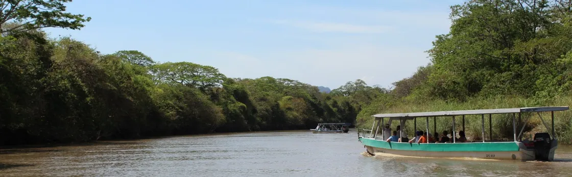 Jungle river cruise at Palo Verde National Park