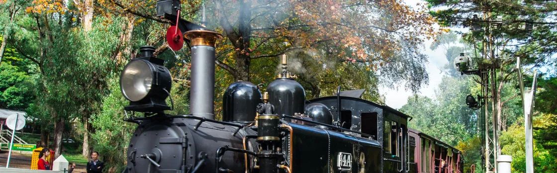 Puffing Billy and Healesville Sanctuary scenic bus tour