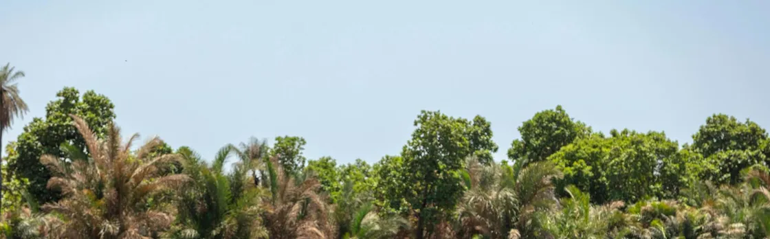 Janjanbureh 2-day tour with overnight stay in a traditional camp