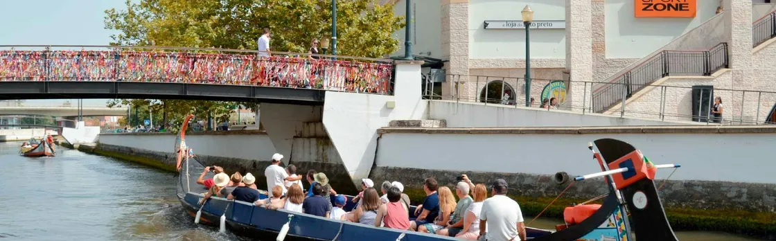Guided boat tour through Aveiro