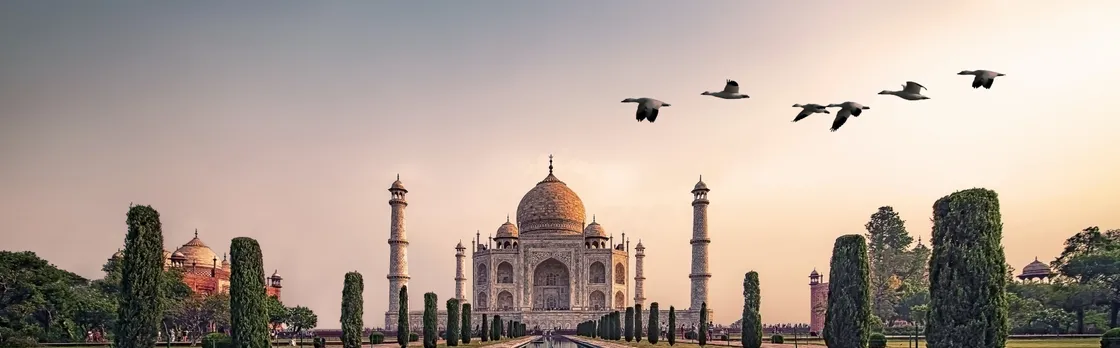 Taj Mahal and Agra Fort private day tour by train from Delhi
