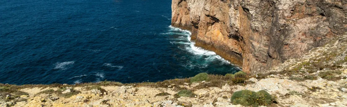 Costa Vicentina full-day guided tour with lunch