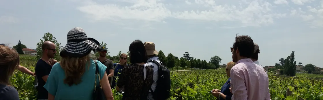 Half-day trip to Saint-Emilion wine estates from Bordeaux