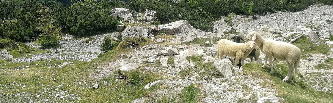 Julian Alps Tour