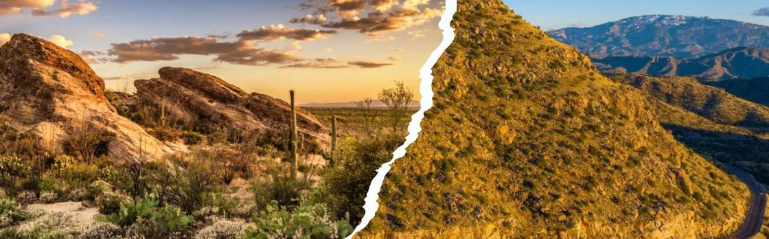 Saguaro National Park and Mt. Lemmon Self-Guided Audio Tour