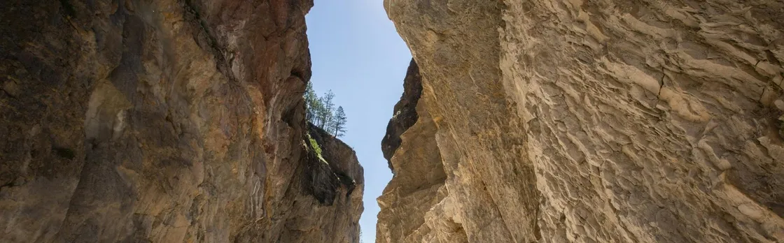 Kootenay National Park full-day tour from Calgary