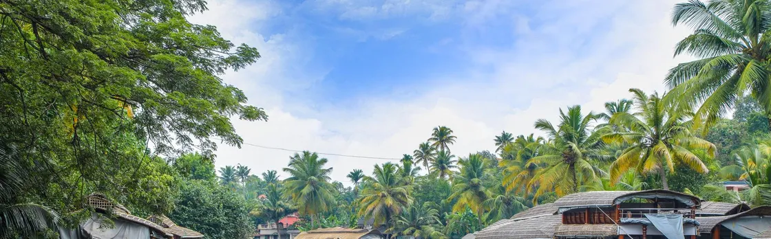 Discovering Kerala's Treasures: Tea Gardens, Backwaters & Seaside Serenity