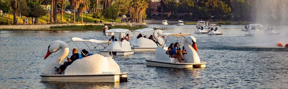 Swan boat rental in Echo Park Los Angeles