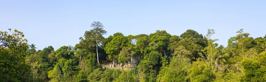 Madampe Ganga boat safari