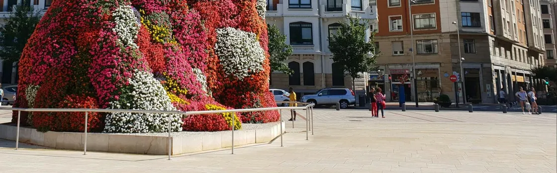 San Sebastian, Bilbao and Guggenheim tour from Biarritz or Bayonne