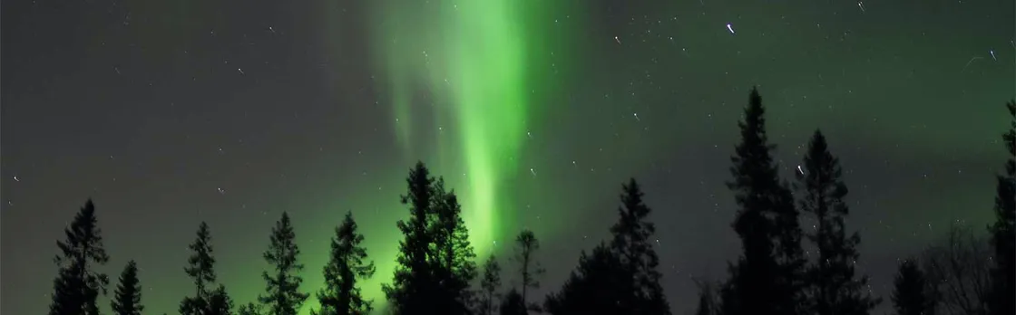 Northern Lights snowshoe nature walk