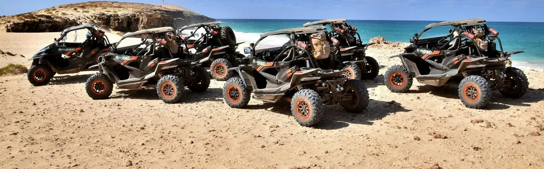 Southern Boa Vista four-hour buggy tour
