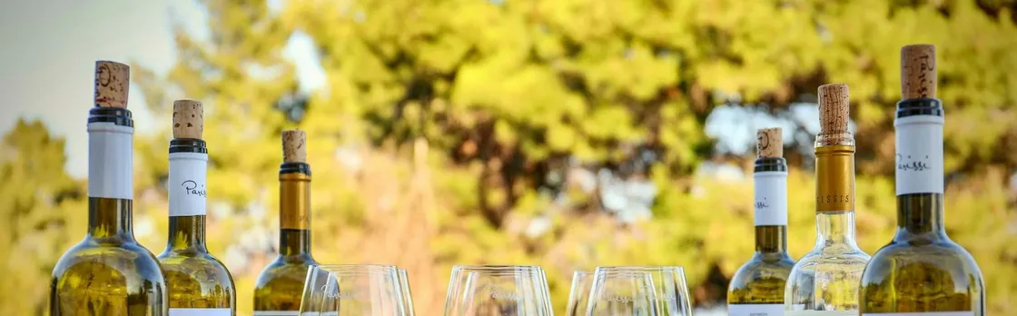 Skiathos Wine Tasting Tour
